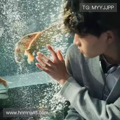 何眉愉