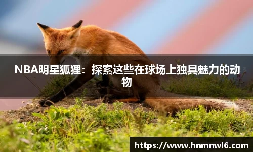 NBA明星狐狸：探索这些在球场上独具魅力的动物